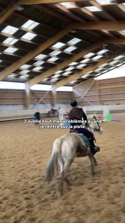 Reverse Music horses