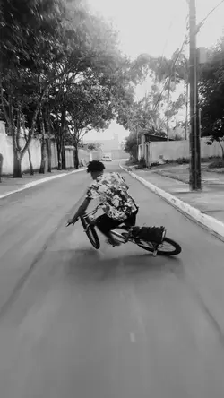 Edit de Grau 244