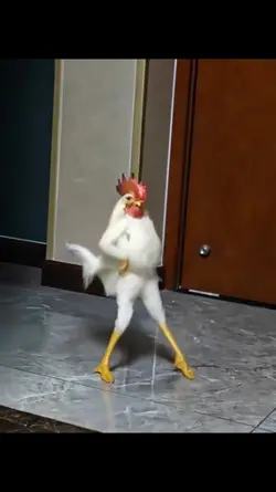 chicken dance
