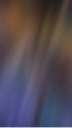 ランキングトップ17