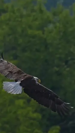 hızır Çakırbeyli 