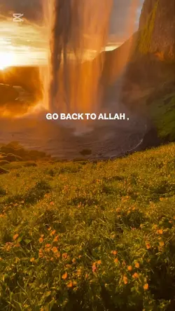 Islamic template