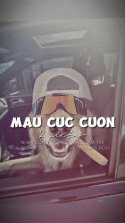 2 ẢNH GIẬT NHẸ