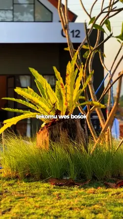 KONCO TENGIK
