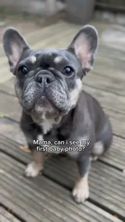 First baby photo 🐾❤️