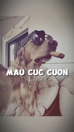 3 ẢNH GIẬT GIẬT 
