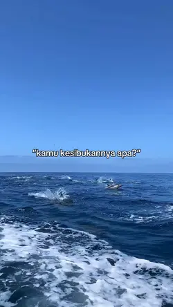 KAMU KESIBUKANNY APA
