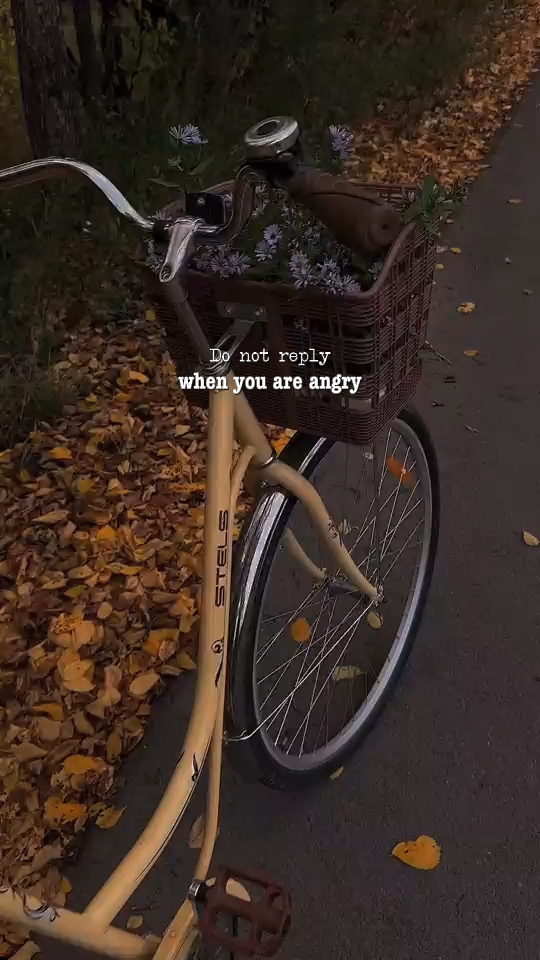 Wisdom words