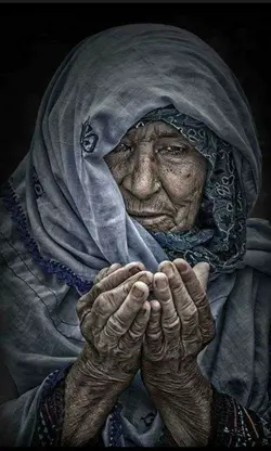مورجانہ دی ژوندئ یی