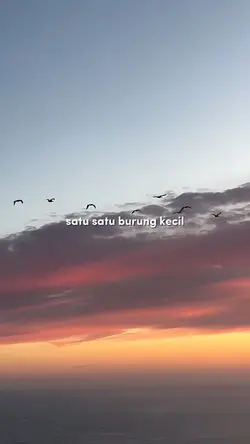 satu satu burung...