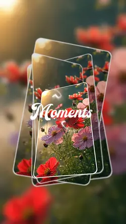 Moments