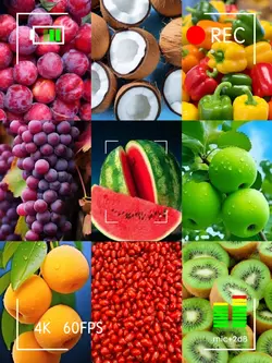 fruits! vegetables!!