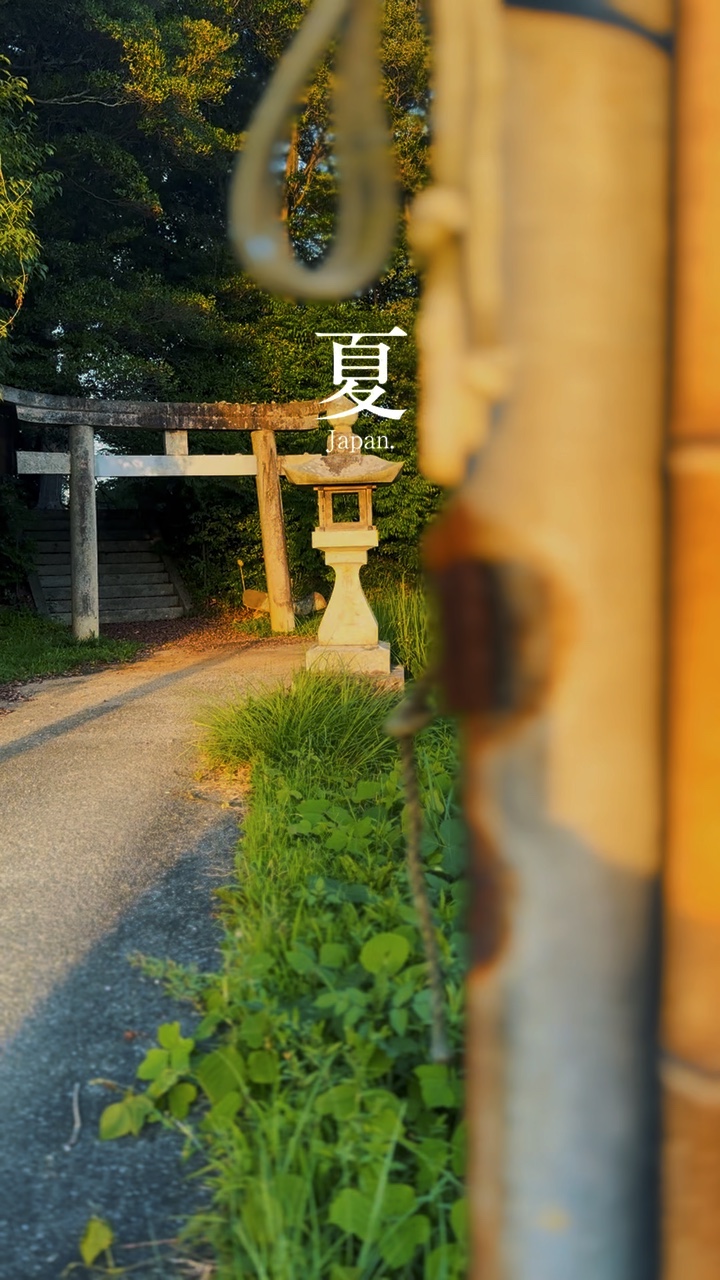 夏。