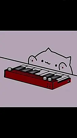 Cat In the keyboard