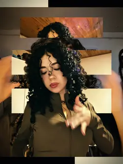 GRILO SELVAGEM ✈️