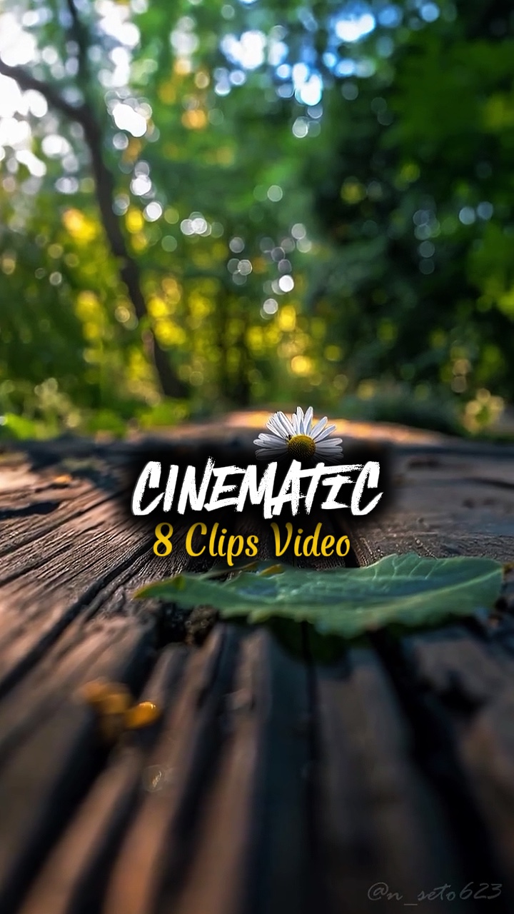 8 CLIPS VIDEO 