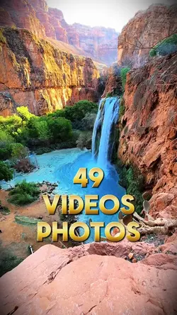 49 video or photo