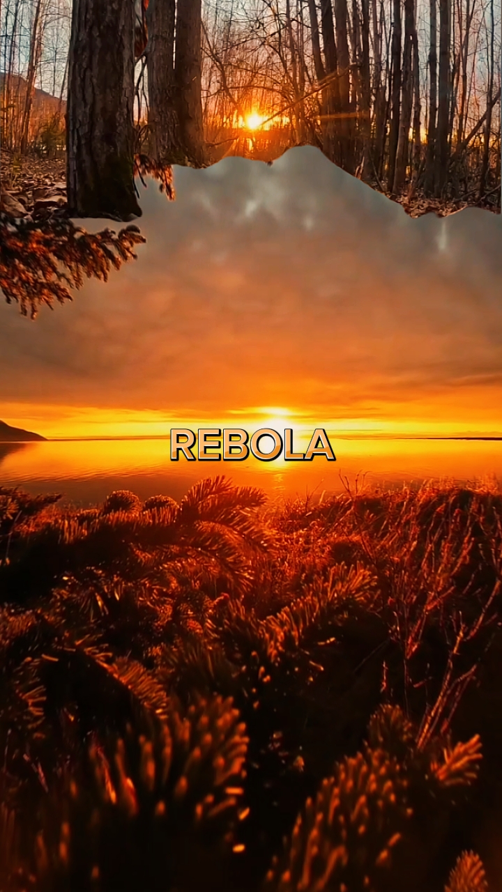 Rebola viral
