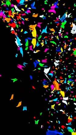 Butterfly effects