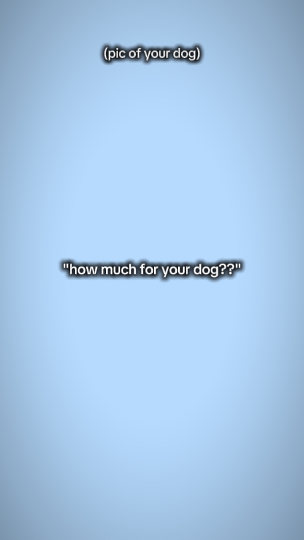 Wie viel für Ihren Hund?