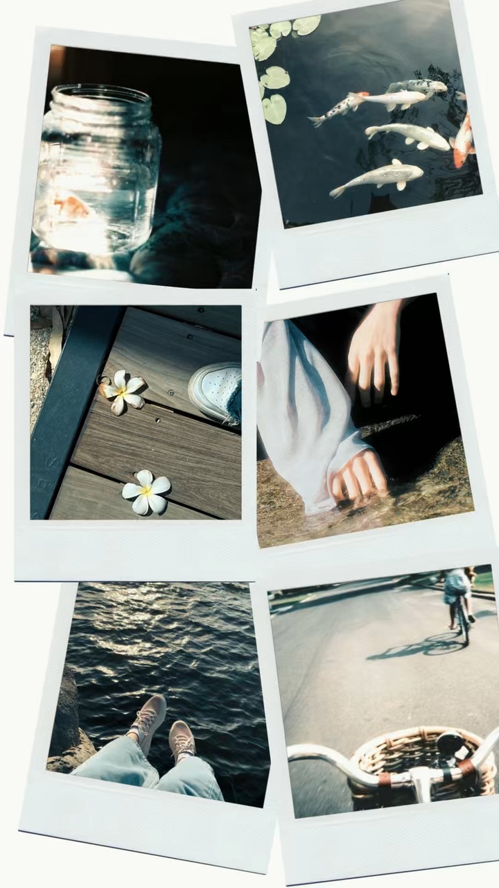 6 Frame polaroid 