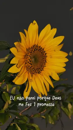PROMESSA