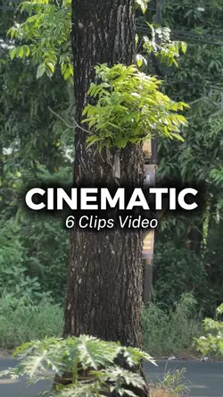 6 Clips Video