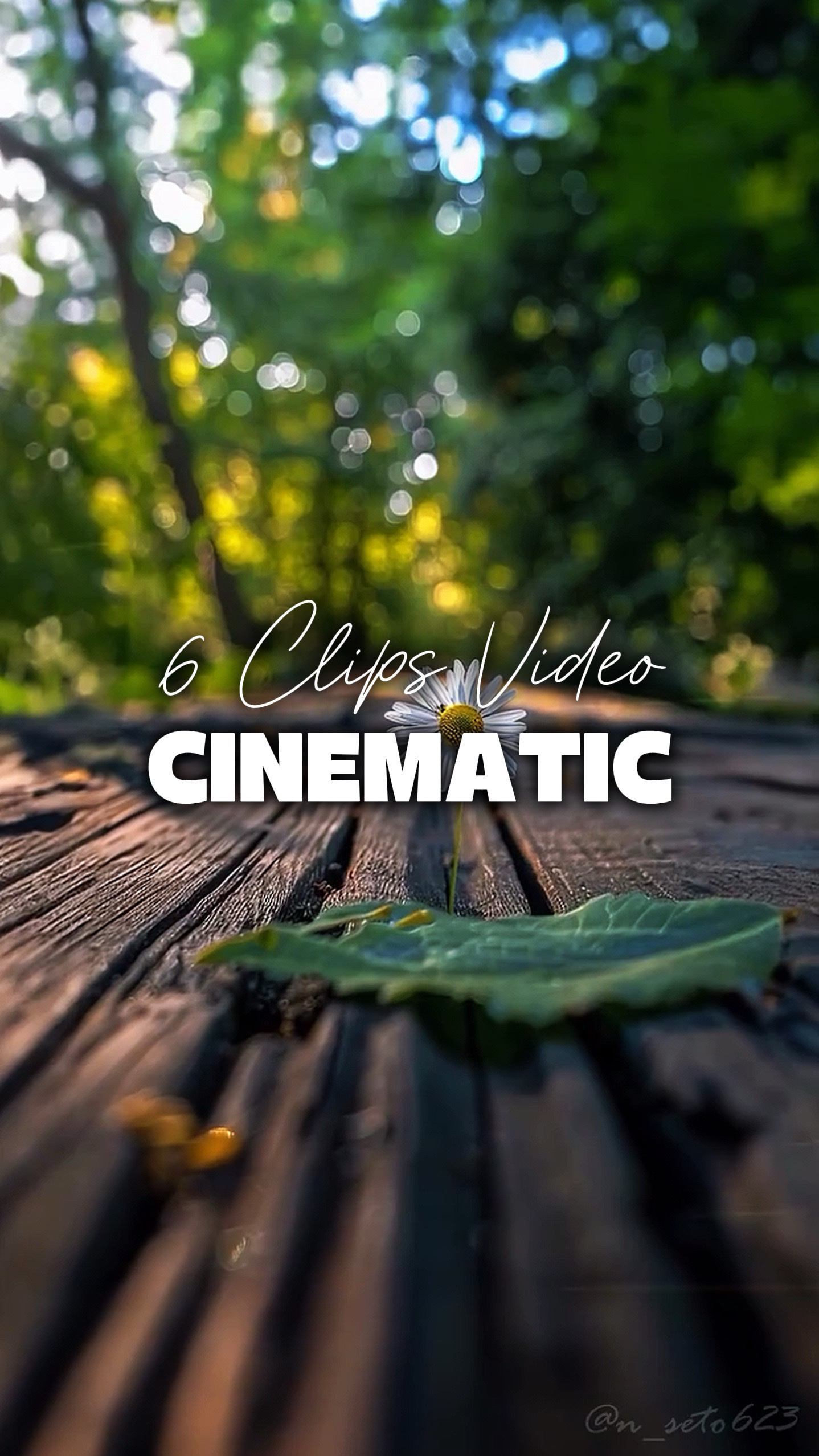 6 CLIPS VIDÉO 