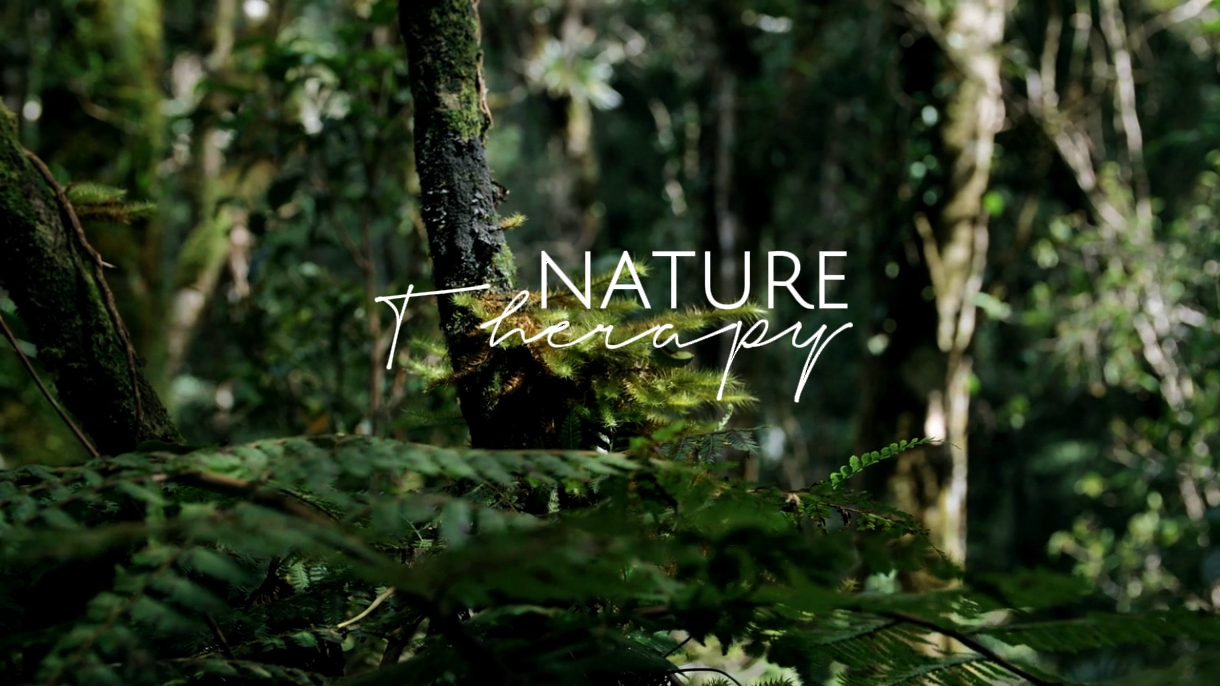 Terapia De Naturaleza