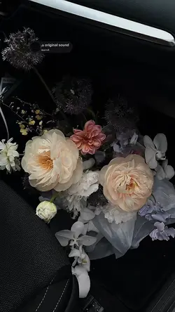 kuhidup tanpa cinta.