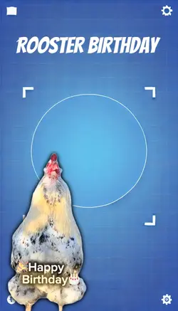 HAPPY BIRTHDAY COCK