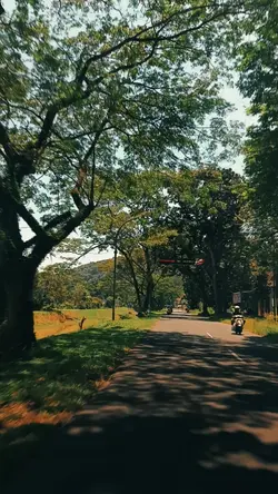menari menarilah