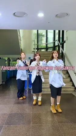 fancam