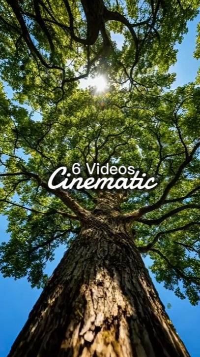 6 Mga Video Cinematic