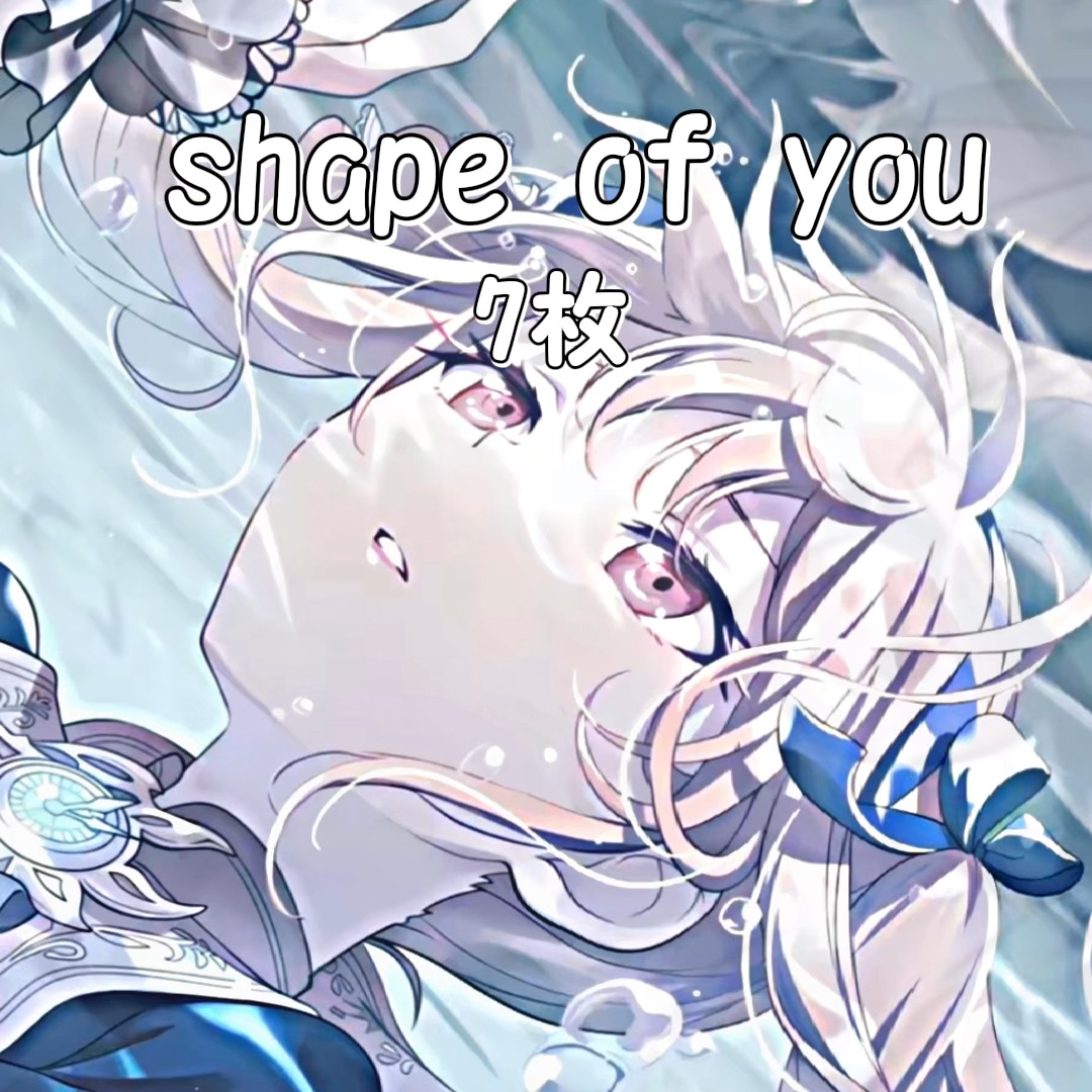 shape of course 7枚