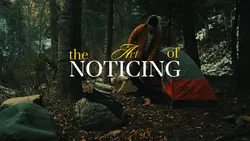 the art of noticing