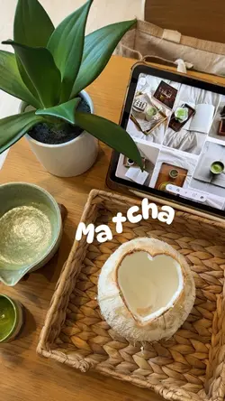 Matcha 🍃
