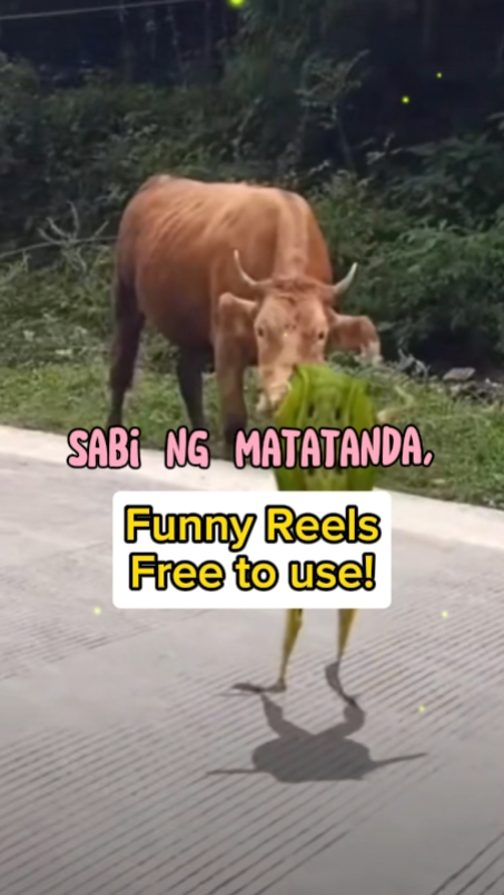 Sabi ng Lola ko