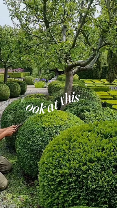 Jardinería