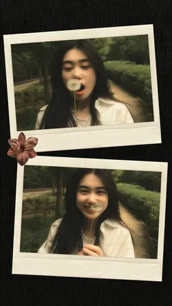 2 frame polaroid