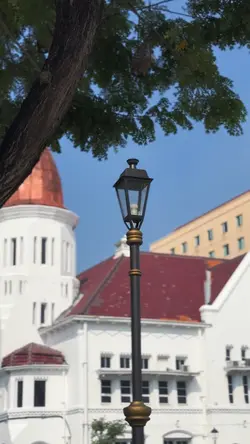 PREDADOR DE PERERECA