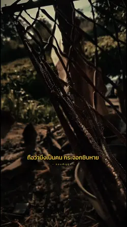 ชอบทำดูถูก