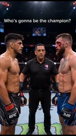 UFC champ Ai