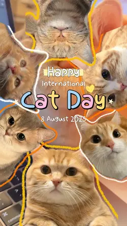 International Catday