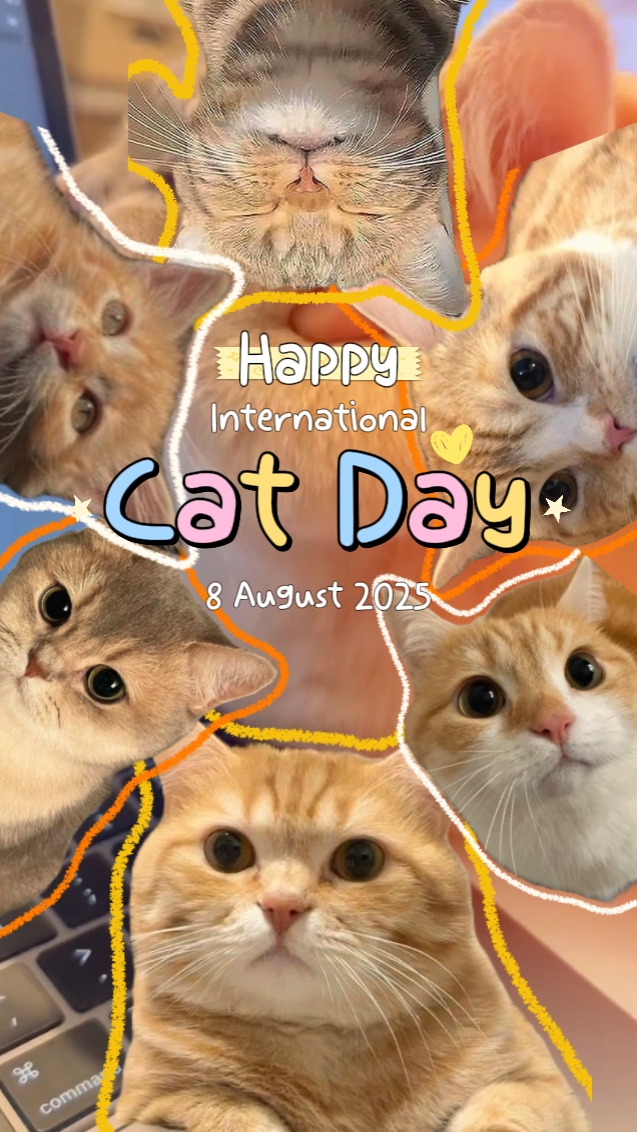Catday Internacional