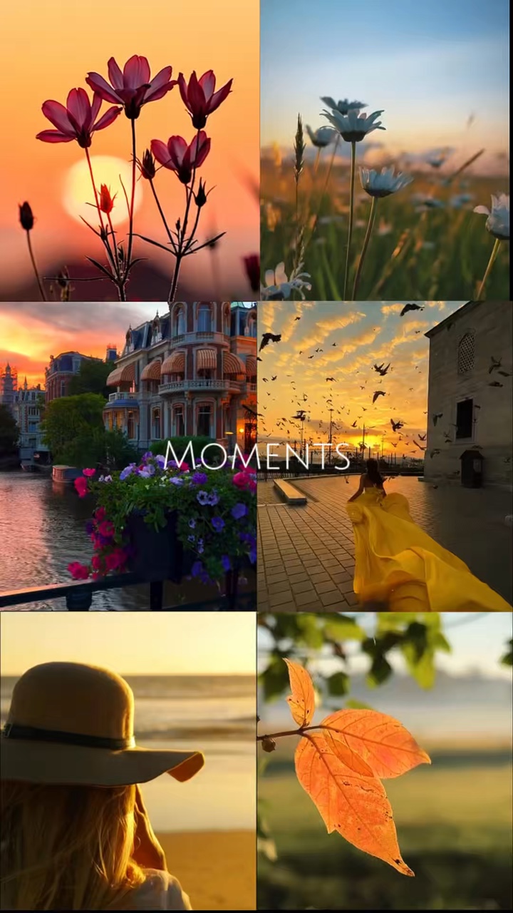 Moments