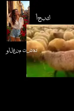 5 Fotoğrafla Hızlı Selfie Vuruşu
