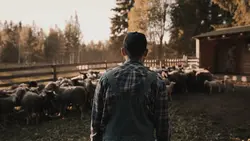 cinematic farmer