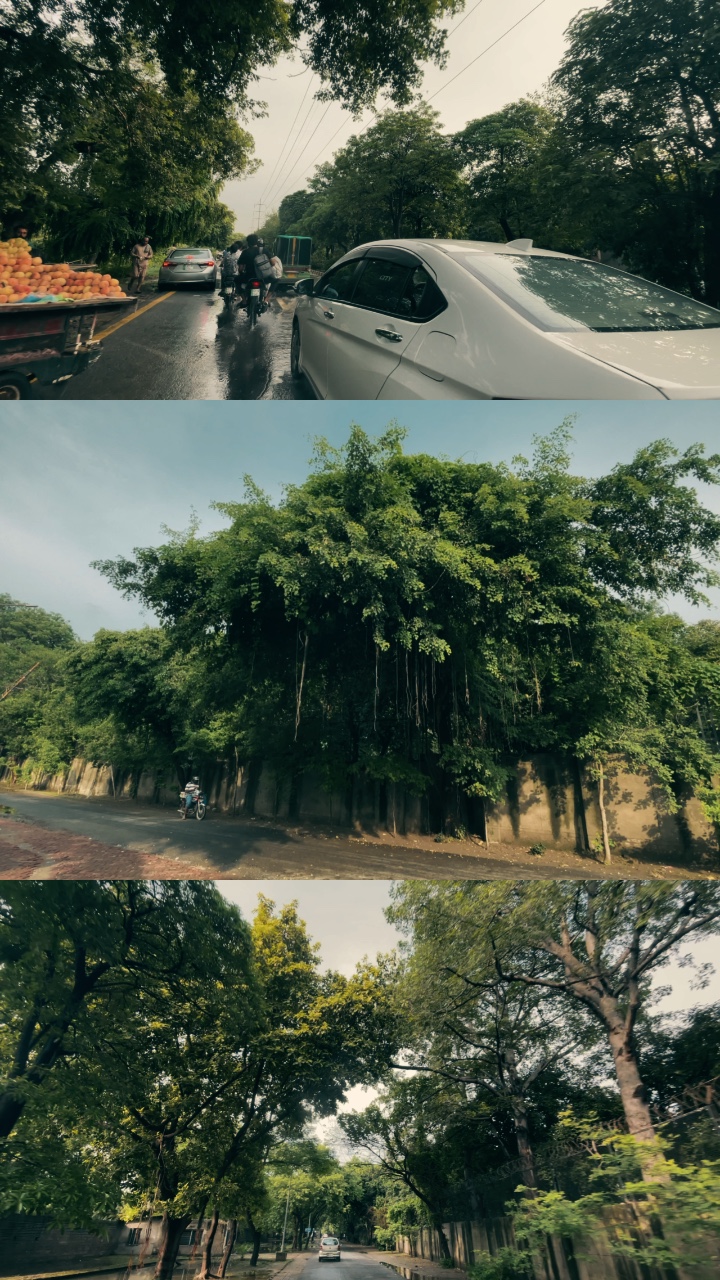 3 Screen ✨🌿☘️