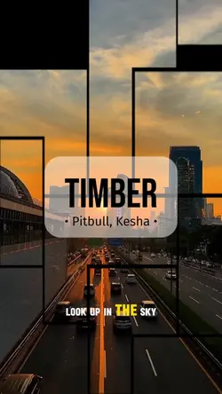 Timber Pitbull lyric